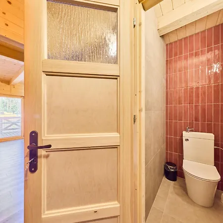 Prázdninový dům Stribrny Rybnik-1 By Interhome *